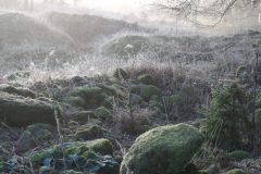 Heide