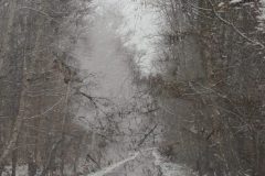 Straße zum Moor
