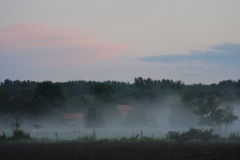 abends